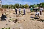افتتاح نخستین باغ میوه‌های بومی گرمسیری هرمزگان در قشم