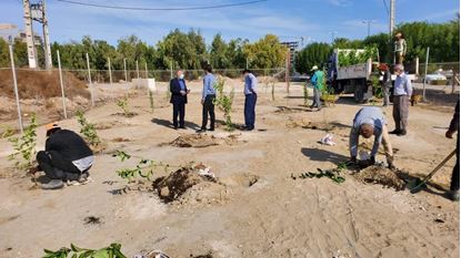 افتتاح نخستین باغ میوه‌های بومی گرمسیری هرمزگان در قشم