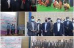 افتتاح سالن چند منظوره ورزشی روستای جلابی بندرعباس باحضور معاون وزیر ورزش