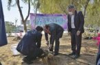 توزیع رایگان بیش از ۲ هزار اصله نهال به مناسبت روز درختکاری در قشم
