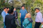 خرمای پیارم حاجی آباد بعنوان پایلوت بکارگیری دانش فنی سوئیسی‌ها انتخاب شد