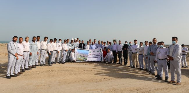 کشت ۲.۵ هکتار درخت مثمر در ساحل آبگیر ستاره خلیج‌فارس