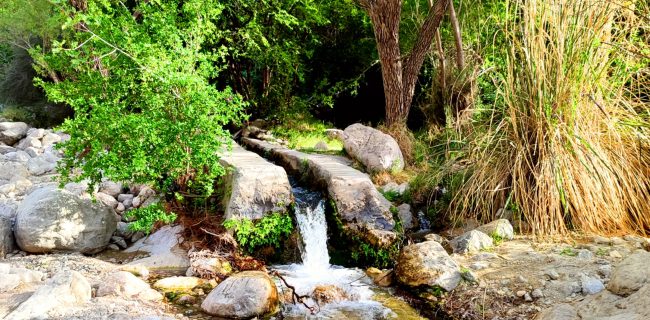 خوش آب و هوا ترین و جذاب ترین روستای حاجی آباد