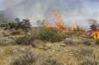 مدیرکل منابع طبیعی هرمزگان در خصوص خطر آتش سوزی در مراتع هشدار داد