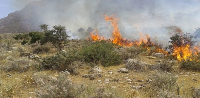 مدیرکل منابع طبیعی هرمزگان در خصوص خطر آتش سوزی در مراتع هشدار داد