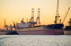 ثبت ۸۵۸ درصدی افزایش واردات گندم/ ۵ کشتی در انتظار پهلودهی در لنگرگاه بندرعباس