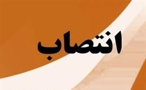انتصاب رئیس مجموعه گردشگری پنجه علی شهرداری بندرعباس