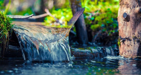 بررسی روند صدور مجوز بهره برداری از چشمه ها درشورای حفاظت منابع آب بشاگرد