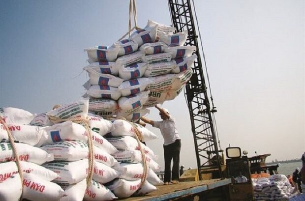 آغاز عملیات ترخیص ۵ هزار تن محموله برنج وارداتی در بندرعباس