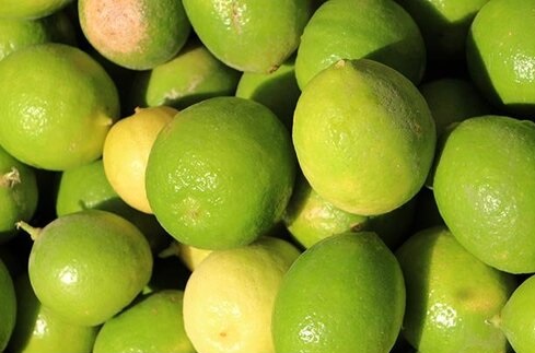 خرید لیمو ترش رودان به مرز ۲۰۰۰ تن رسید