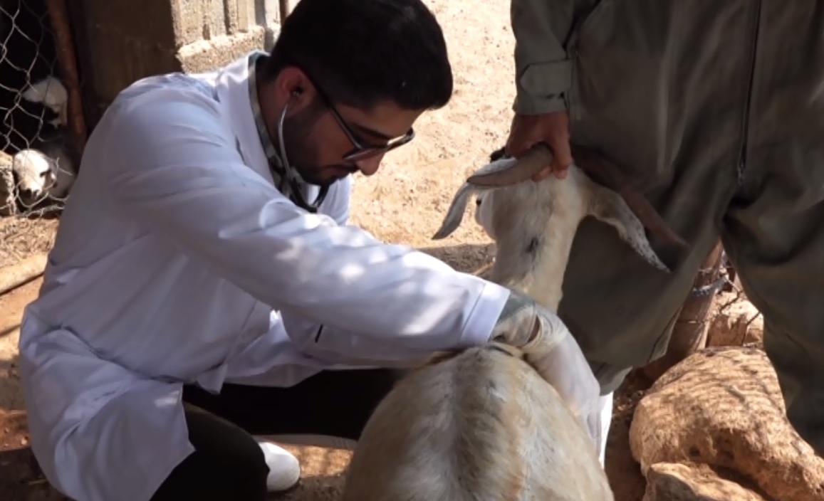 واکسیناسیون ۳۰ هزار راس دام در پارسیان