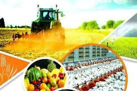 ۴۳۸ طرح کشاورزی آماده بهره برداری در سفر رئیس جمهور