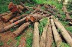 ۱۵ تن چوب قاچاق در پارسیان هرمزگان کشف شد