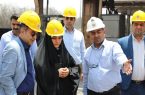  تأکید جراره  بر اهمیت تولید و نقش کلیدی آلومینیوم در اقتصاد کشور