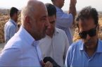 بازدید وزیر تعاون، کار و رفاه اجتماعی از مزارع پیاز روستای سرزه از توابع شهرستان رودان