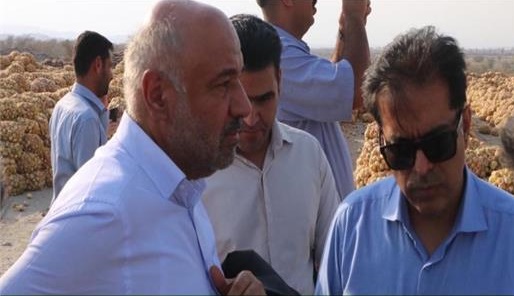 بازدید وزیر تعاون، کار و رفاه اجتماعی از مزارع پیاز روستای سرزه از توابع شهرستان رودان