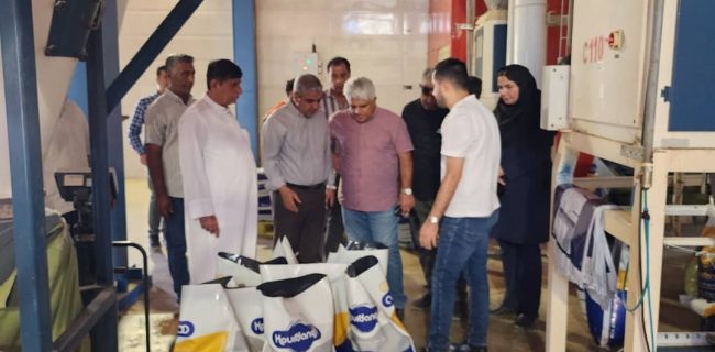 تبادل تجربیات شیلاتی میان هرمزگان و بوشهر؛ تمرکز بر نرسری و مکانیزاسیون مزارع میگو