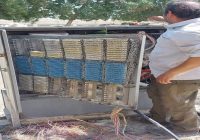 ارتباط تلفنی و اینترنتی ۸۰۰ مشترک در بندرعباس احیا شد