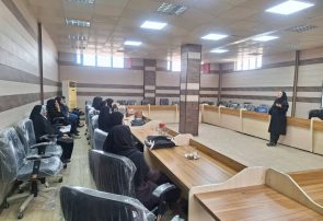 بندرعباس/ برگزاری کارگاه تاب آوری اجتماعی