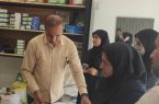 رزمایش سراسری پایش واحدهای عرضه آفت‌کش‌های کشاورزی در هرمزگان آغاز شد