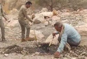 لایروبی چشمه های سطحی و ساخت آبشخور در زیستگاههای حیات وحش منطقه برنطین در هفته محیط زیست