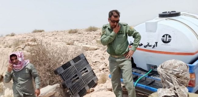 آبرسانی به حیات وحش شهر ستان بندرلنگه