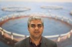 آغاز برداشت میگوی پرورشی از سطح مزارع پرورش میگو هرمزگان