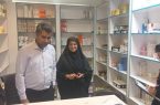 بازدید سرزده کارشناسان غذا و دارو شرق هرمزگان از وضعیت دارویی شهرستان بشاگرد