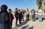 بازدید دانشجویان و اعضای سازمان بسیج مهندسین از شهر فین هرمزگان