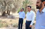 بازدید میدانی فرماندار و مدیران اجرایی بندرخمیر از روستاهای کهورستان/ تاکید بر حمایت از کشاورزان و رفع موانع تولید