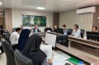 تعیین تکلیف ۱۱ پرونده در نشست هیأت نظارت ماده ۳۳ هرمزگان