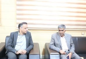 دیدار مدیرکل تعاون، کار و رفاه اجتماعی هرمزگان با فرماندار حاجی‌آباد