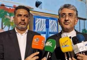 نخل ناخدا جان گرفت؛ افتتاح پروژه ۶/۸ میلیاردی شهرداری بندرعباس+فیلم