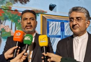 نخل ناخدا، پایلوت زیباسازی محلات بندرعباس شد+فیلم