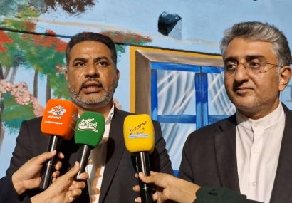 نخل ناخدا، پایلوت زیباسازی محلات بندرعباس شد+فیلم