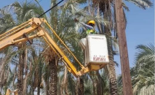 هرس هشت اصله از درختان درگیر با شبکه برق در محله کشاورز شهرستان حاجی آباد هرمزگان
