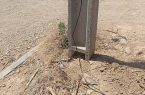 جمع آوری انشعابات غیر مجاز برق در  روستای چاه تر حاجی‌آباد هرمزگان