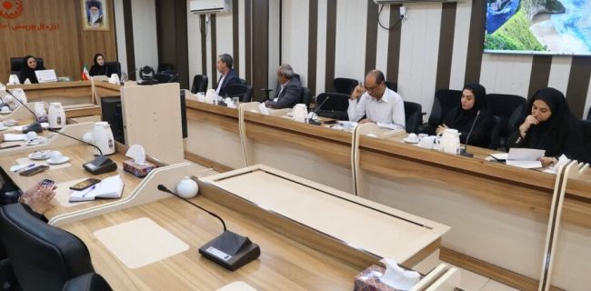 اولین کارگروه بررسی آسیب‌های کودک‌آزاری در هرمزگان برگزار شد