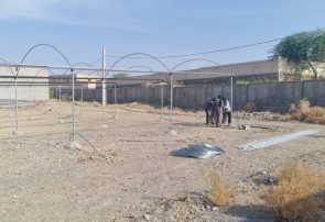 احداث گلخانه آموزشی ترویجی در مرکز جهاد کشاورزی زیارتعلی شهرستان رودان