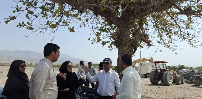 بازدید مسئولان از محل اجرای پروژه گلخانه میوه‌های گرمسیری در شهرستان رودان