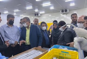 افتتاح واحد انجماد ماهی و سردخانه زیر صفر در روستای سهیلی قشم