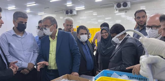 افتتاح واحد انجماد ماهی و سردخانه زیر صفر در روستای سهیلی قشم