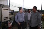 بررسی پیشرفت سورتینگ مرکبات و سردخانه ۱۵۰۰ تنی در بخش رودخانه شهرستان رودان
