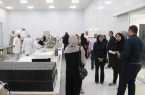 بازدید بانوان کارآفرین هرمزگان از صنایع برتر منطقه آزاد قشم