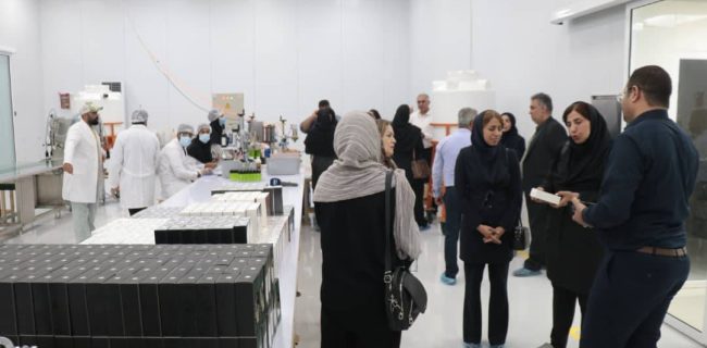بازدید بانوان کارآفرین هرمزگان از صنایع برتر منطقه آزاد قشم