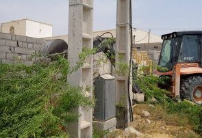 هرس و اصلاح کارشناسی درختان درگیر با شبکه برق در شهر فین هرمزگان