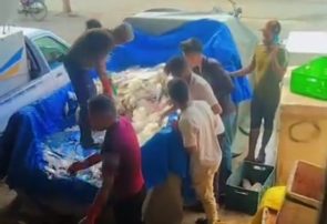 میناب قطب تأمین ماهی هرمزگان؛ ارسال روزانه ۷۰ تا ۱۰۰ تن از آبزیان به سراسر کشور