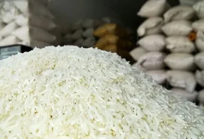 توزیع برنج پاکستانی به نرخ دولتی در بندرخمیر آغاز شد