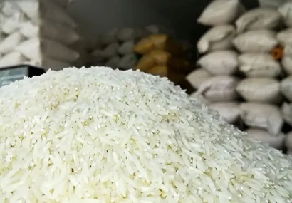 توزیع برنج پاکستانی به نرخ دولتی در بندرخمیر آغاز شد