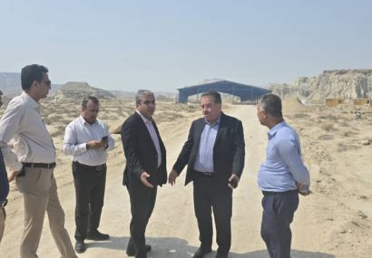 مراکز بازسازی ذخایر ضرورتی برای حفظ ذخایر ژنتیکی آبزیان
